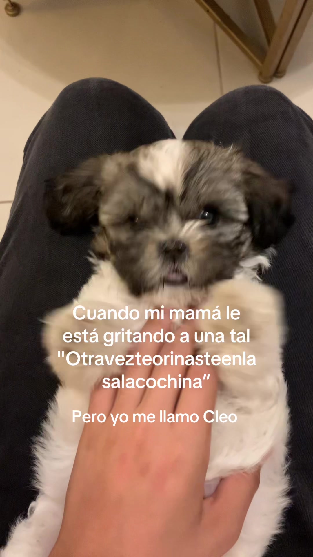 @Santiago_Sr