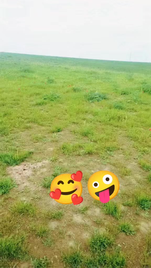 @🏗️SAMARQAND🏗️NOMER🏗️ADEN🏗️