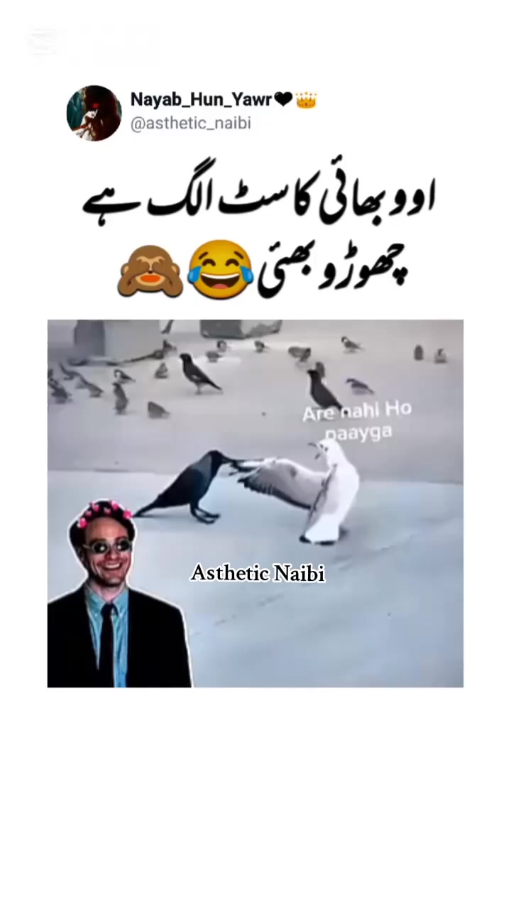 @Nayab_Hun_Yawr🖤👑