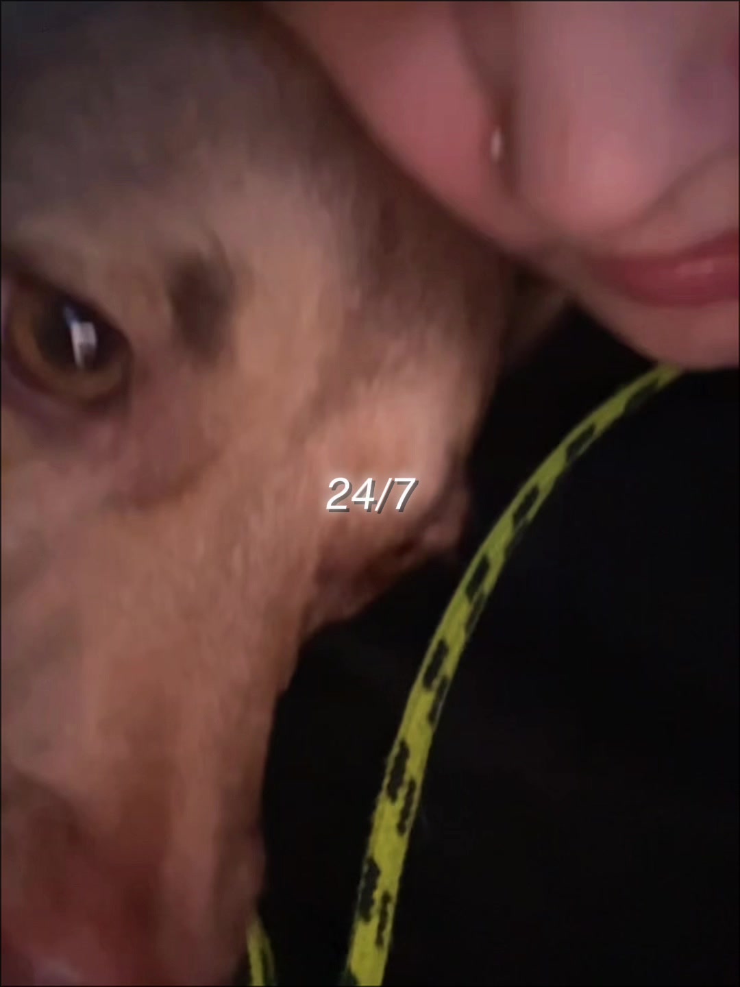 @hisfavgirl188