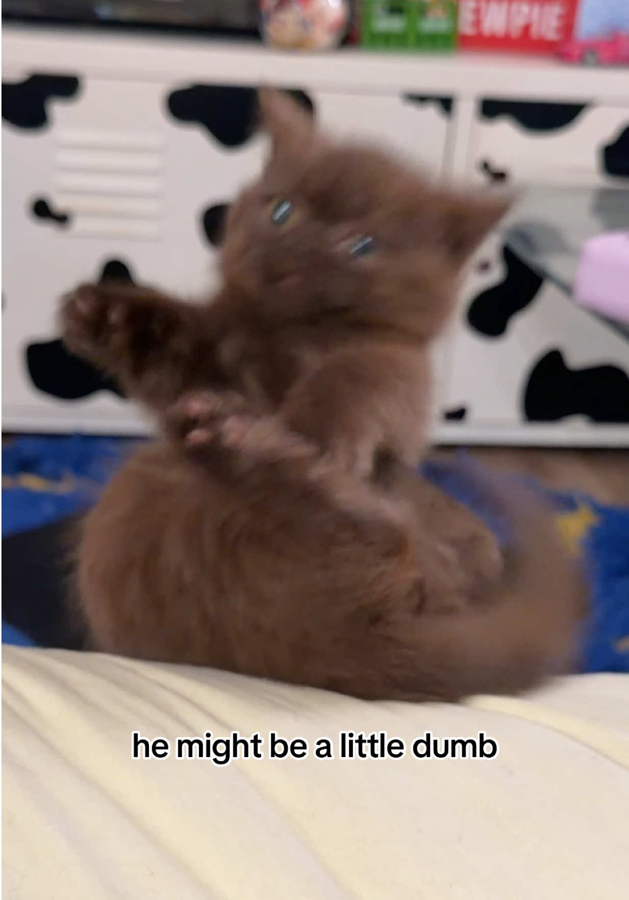 @honey butter chicken biscuit