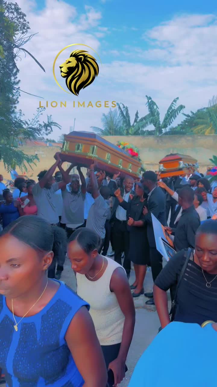 @LION IMAGES🦁