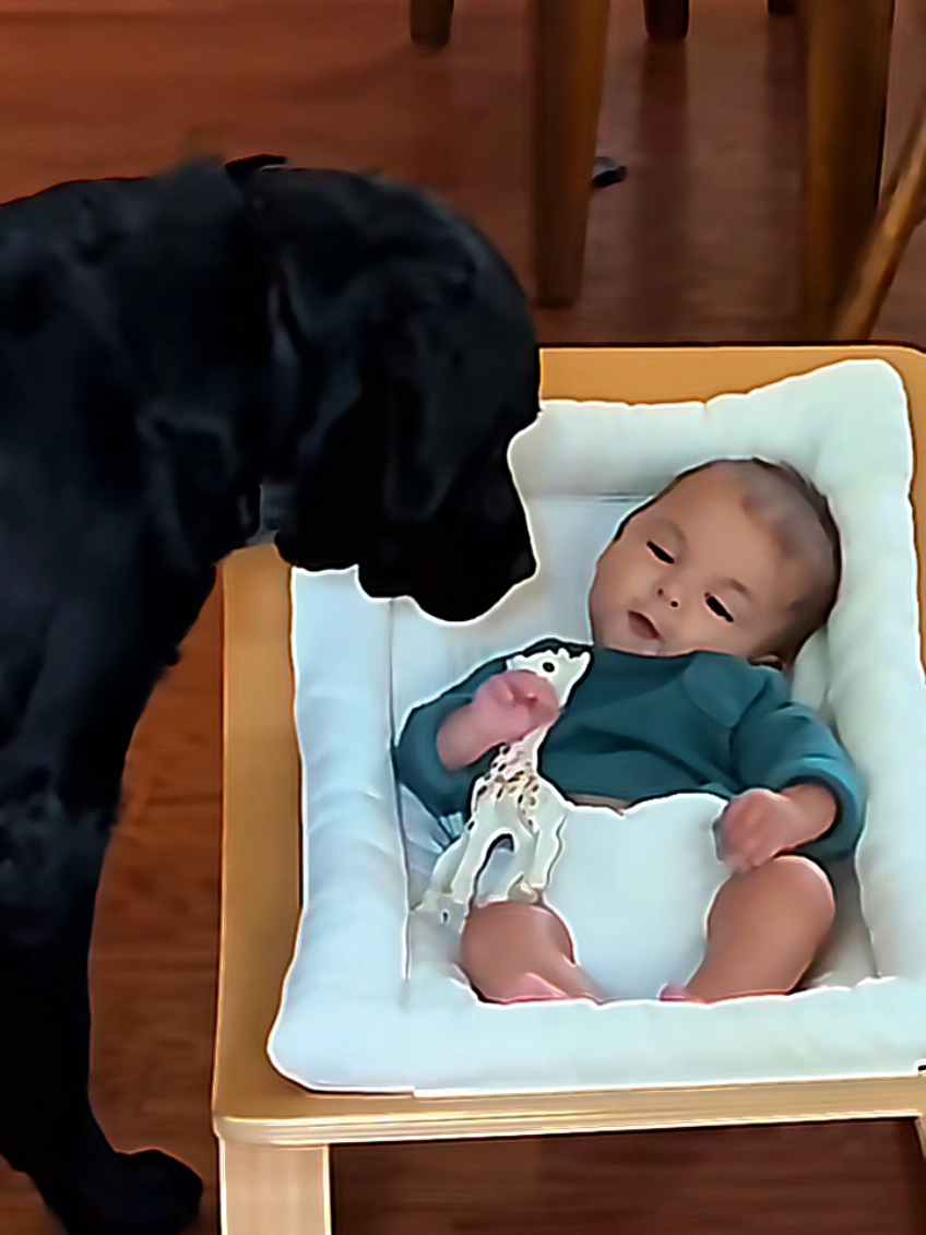 @dogmomentsdaily