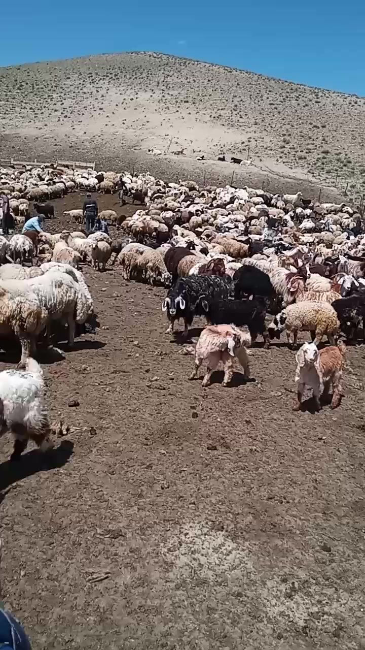 @Zahid cehrili