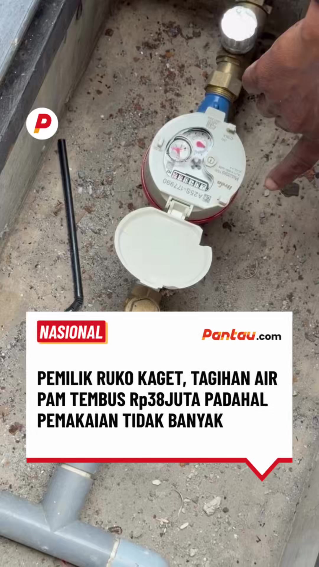 @pantau.com