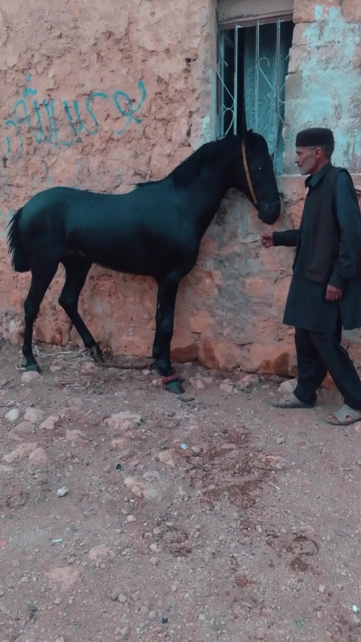 @صالح الدرسي