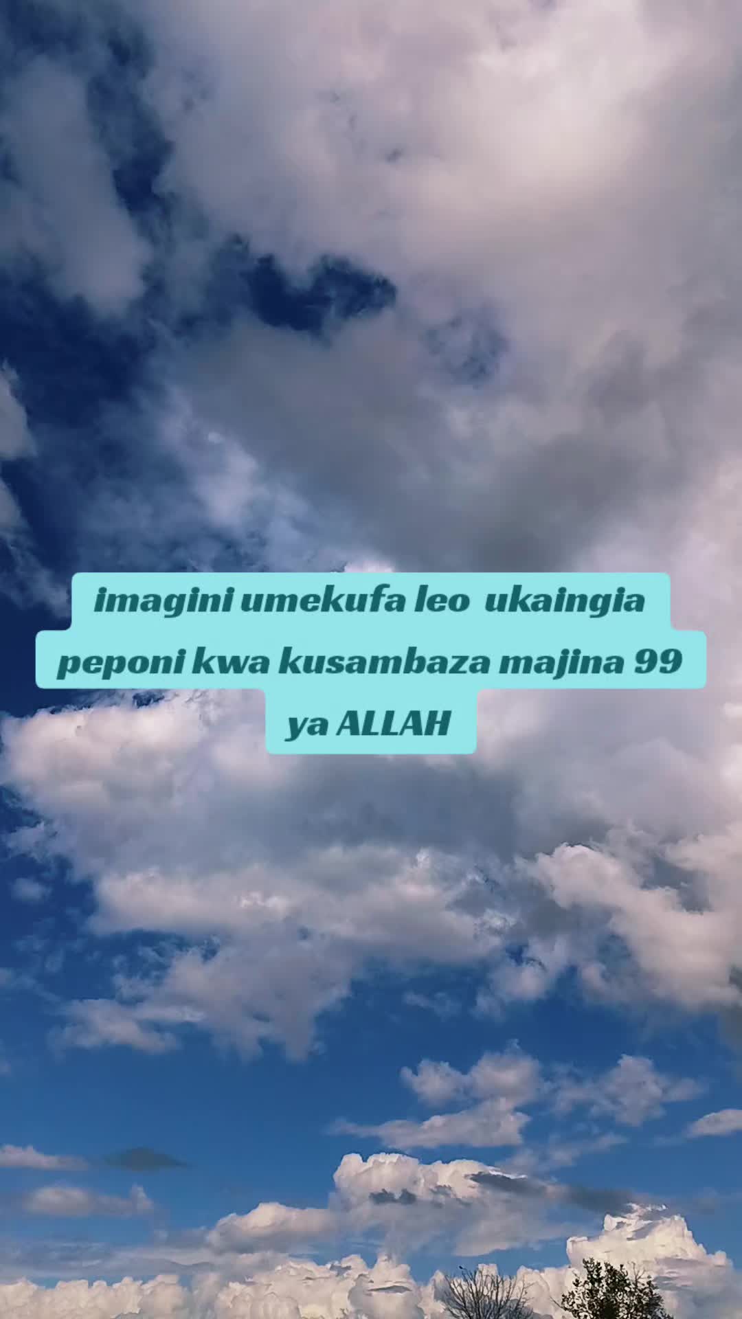 @SINOG jr