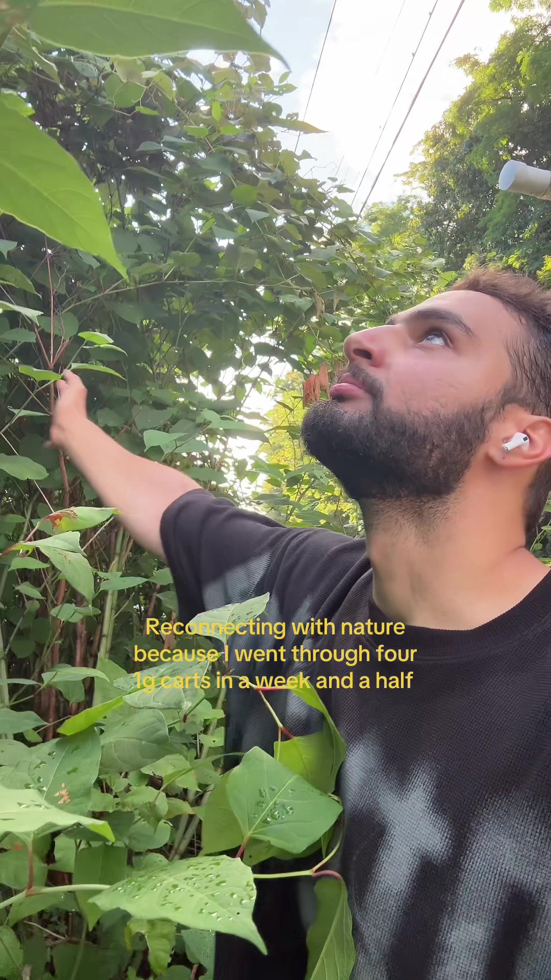 @Mo