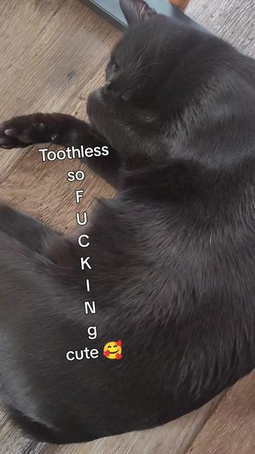 @Pluto Witch
