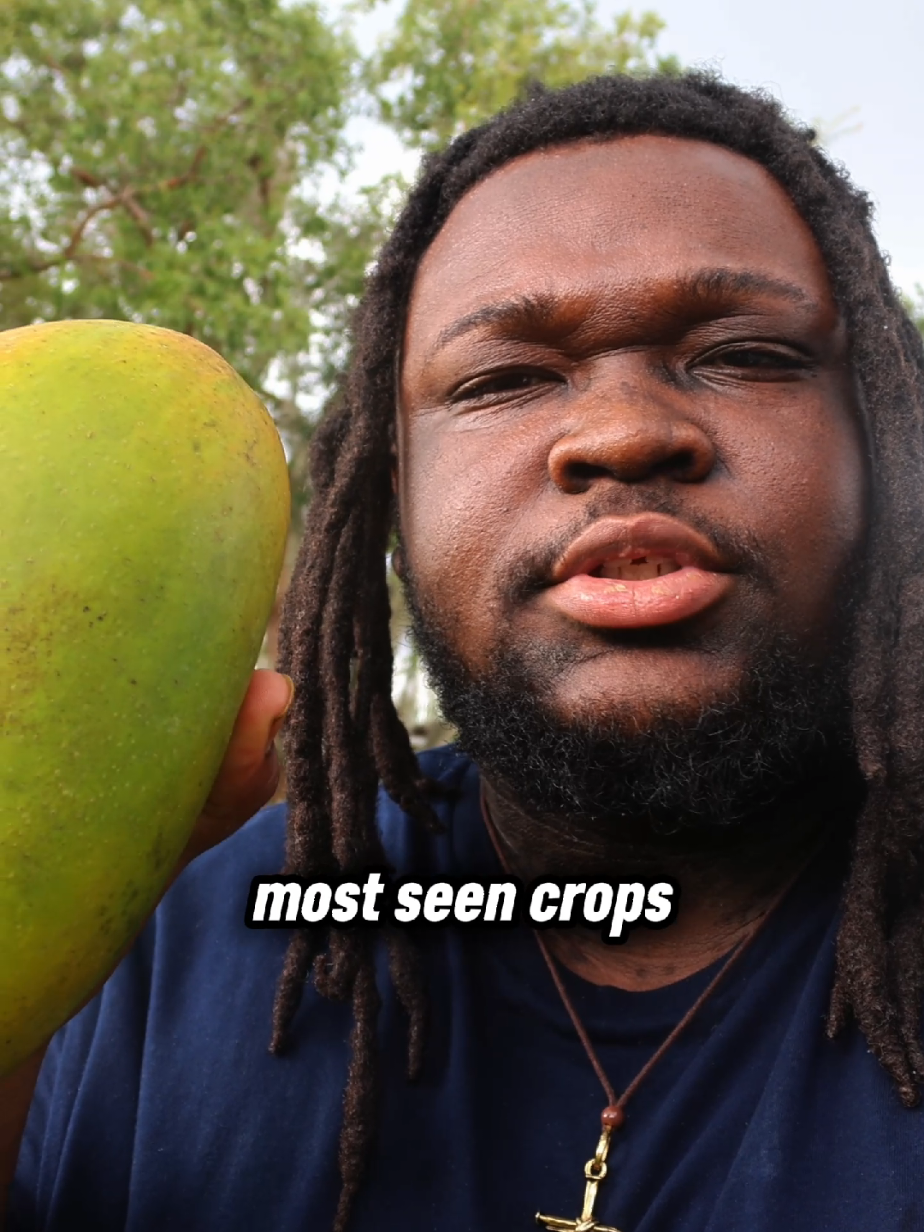 @Shawn Grows