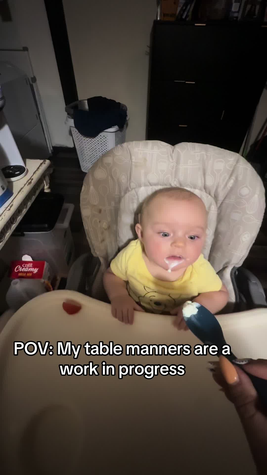 @theiowamobwife
