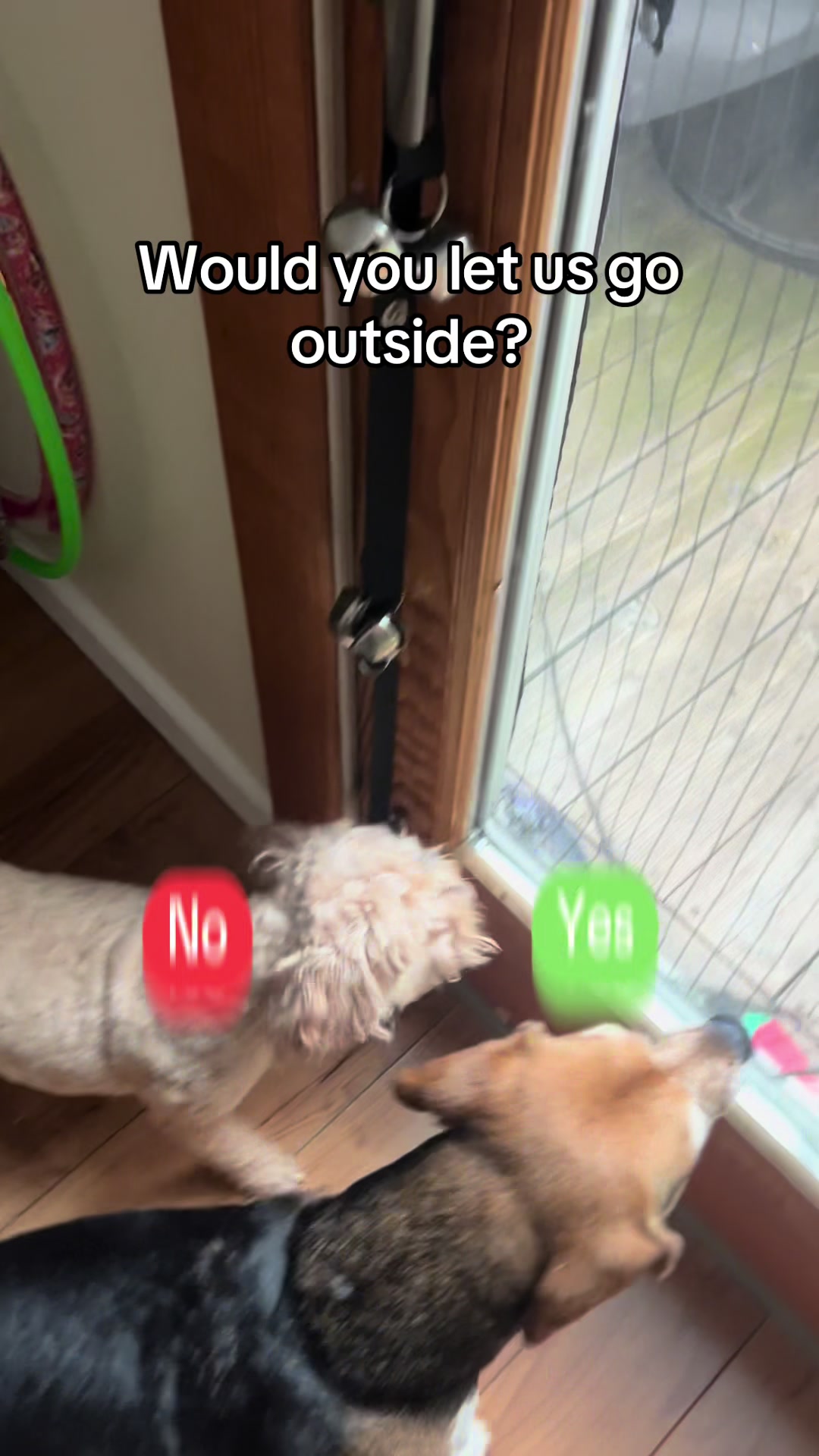 @ChloeCaboodleDoodle