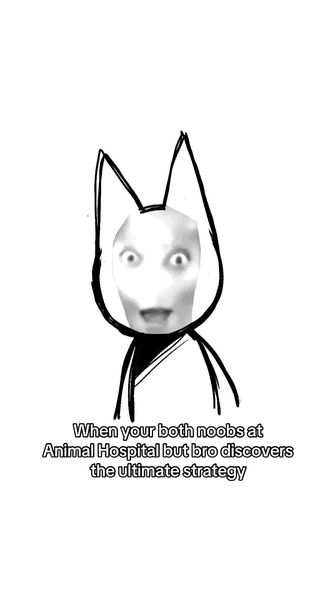 @lee