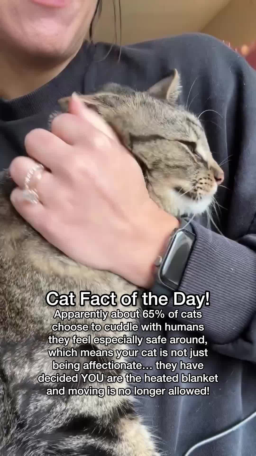@Chip The Manx