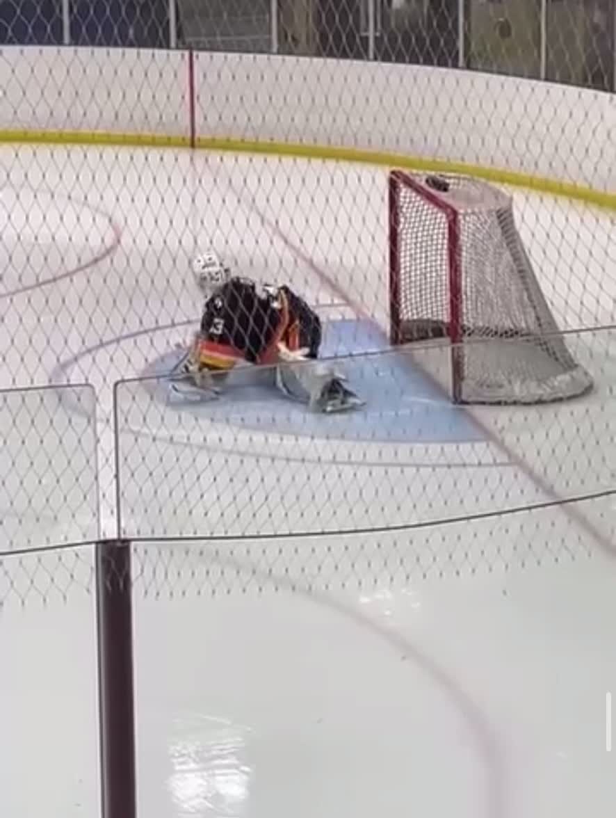 @vgkgoaliegirl🏒