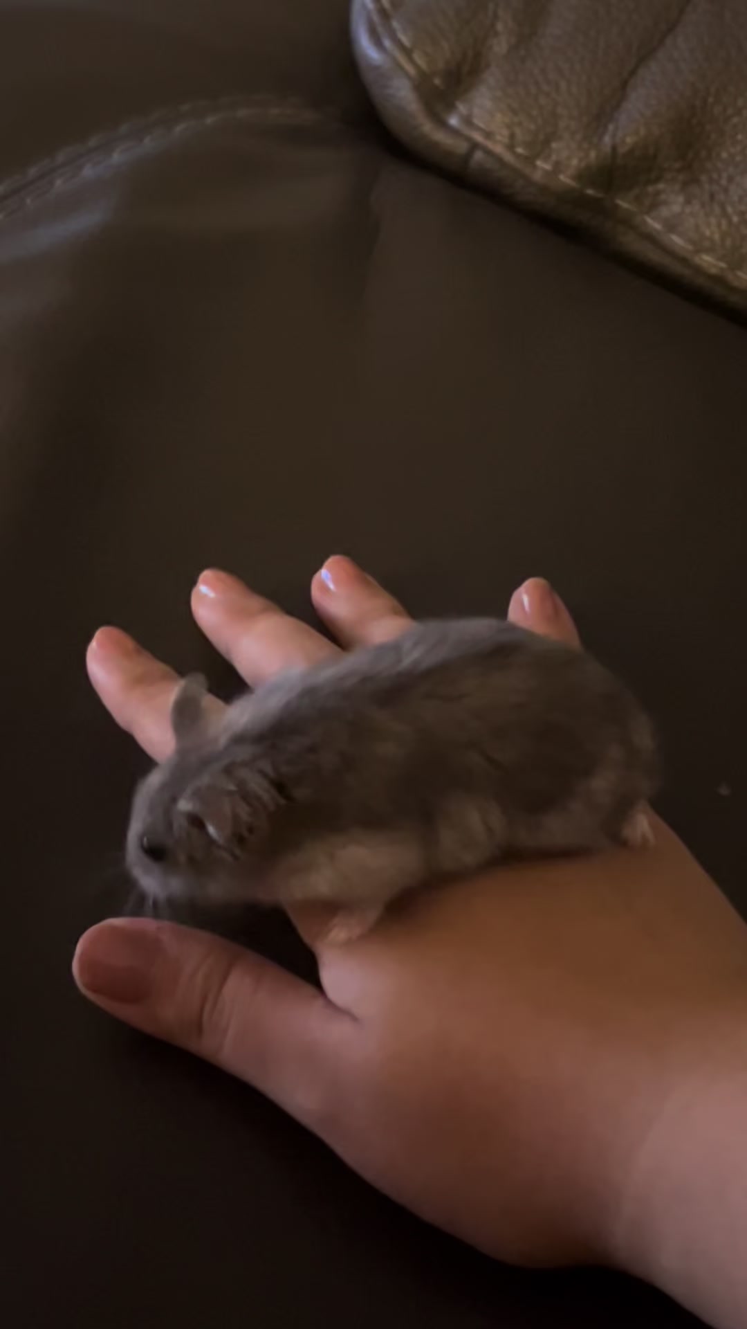 @𝒆𝒍𝒍𝒂✨