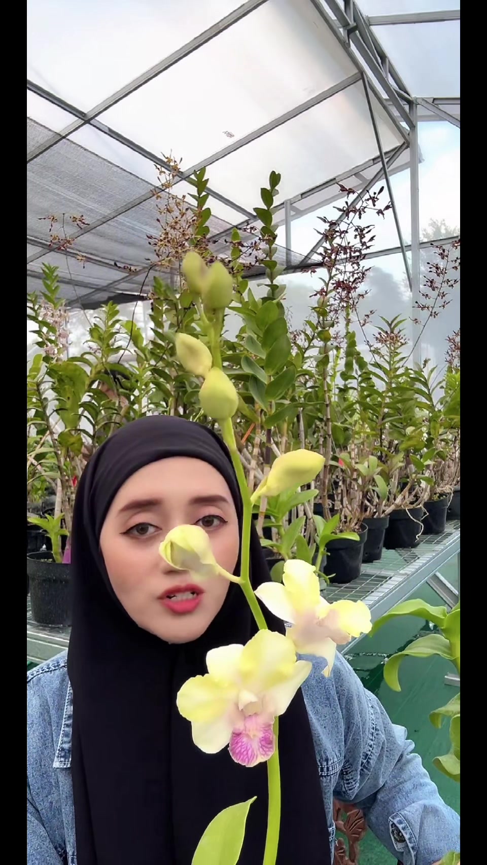 @Anggina Orchid