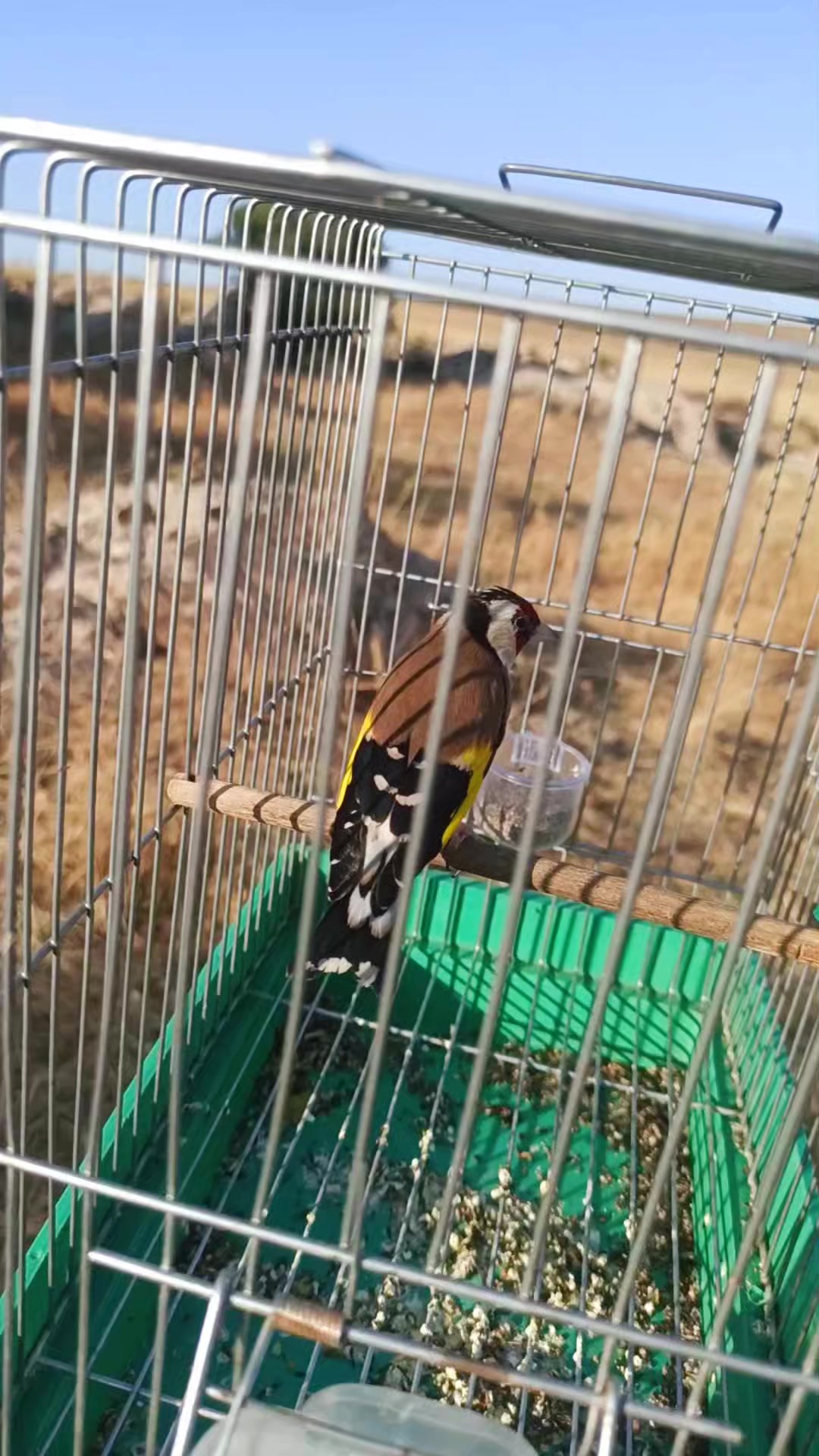 @قائد السرب