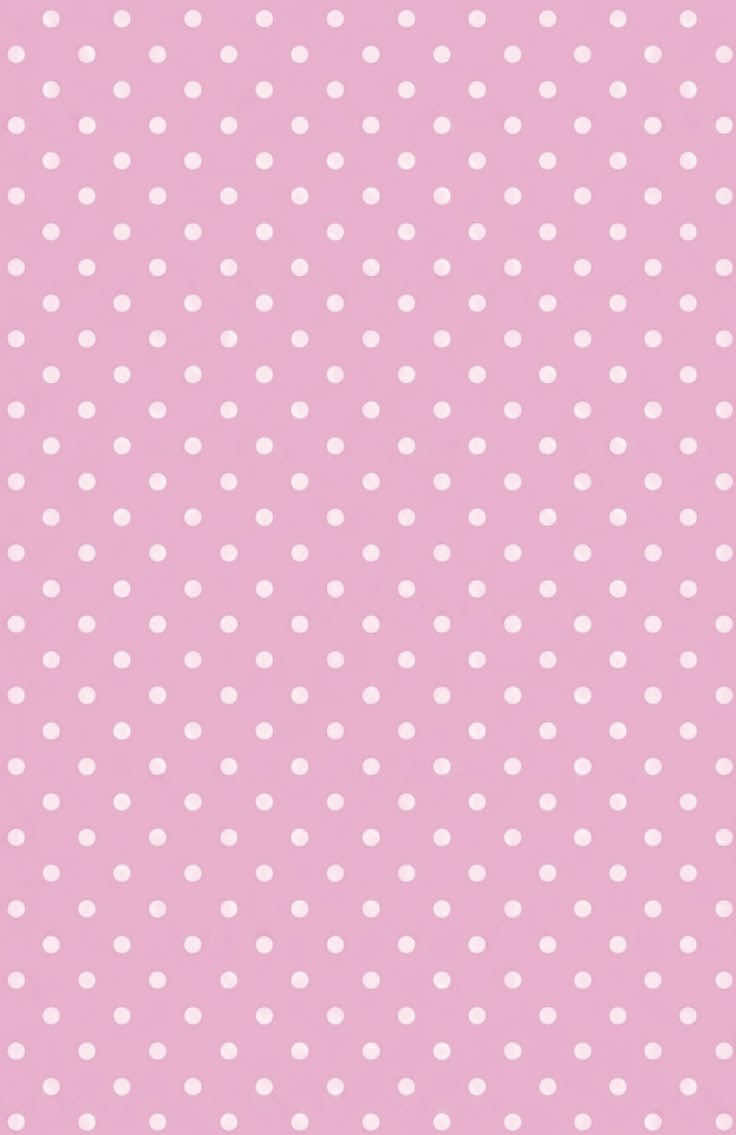 @‧˚꒰🐾୭ ˚. ᵎᵎ