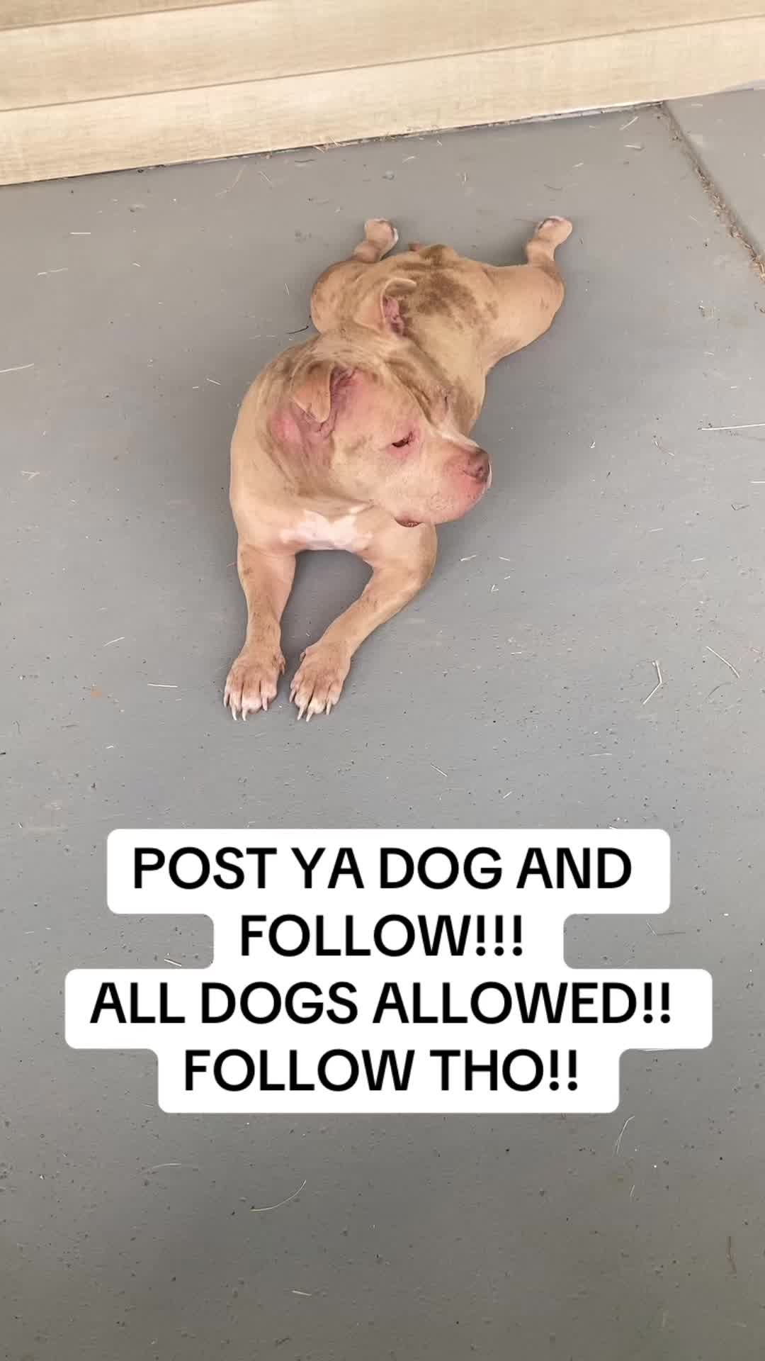 @jhfoetv