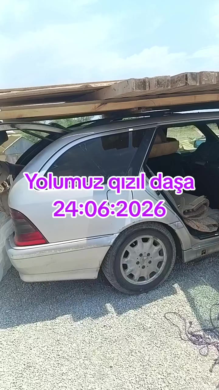 @Sahibsiz heyvanlara dəstək