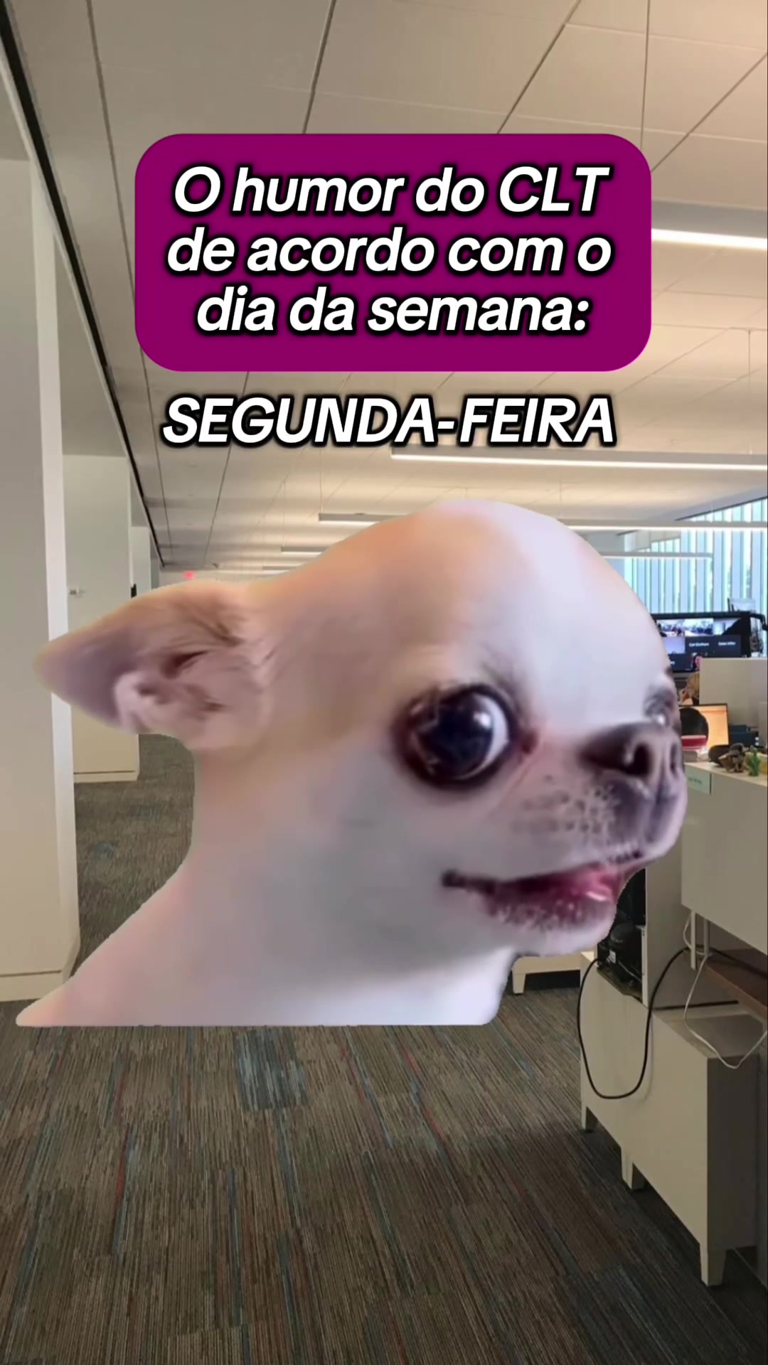 @tababadeira