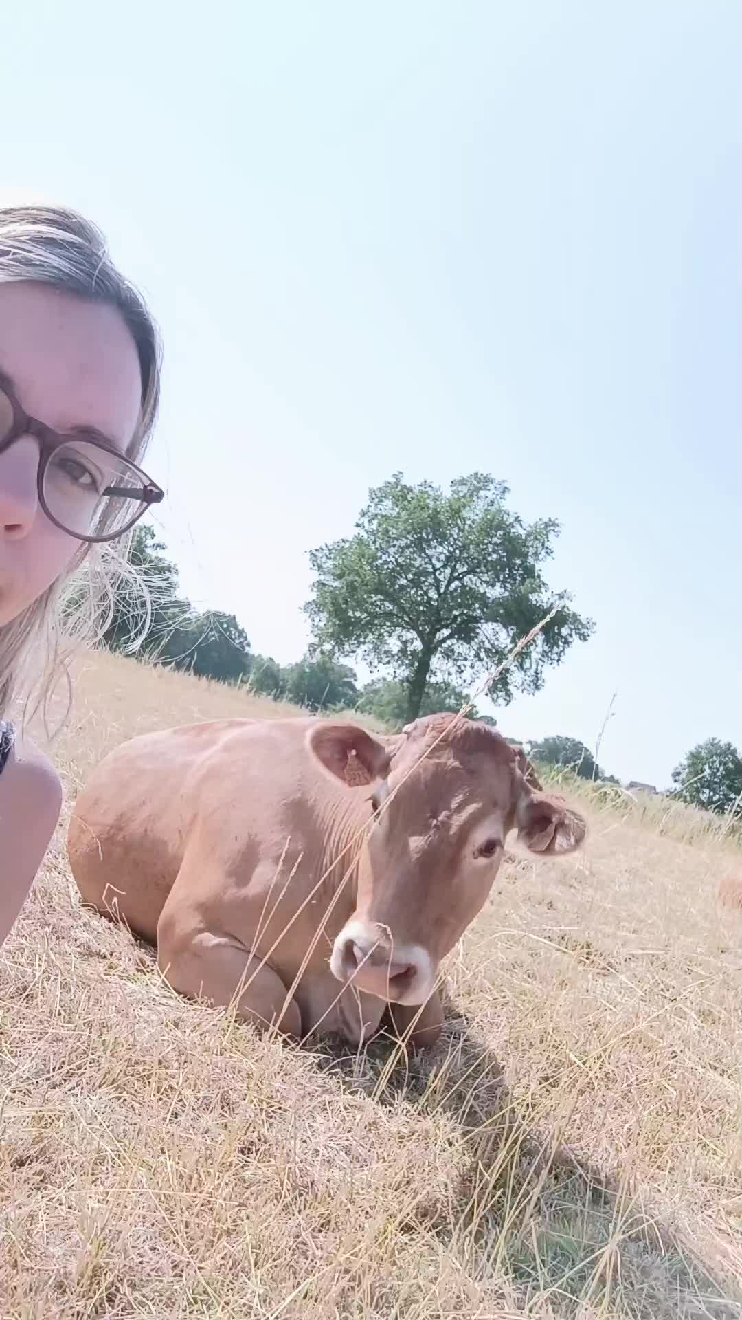 @Ludivine 🪶🐶🐮