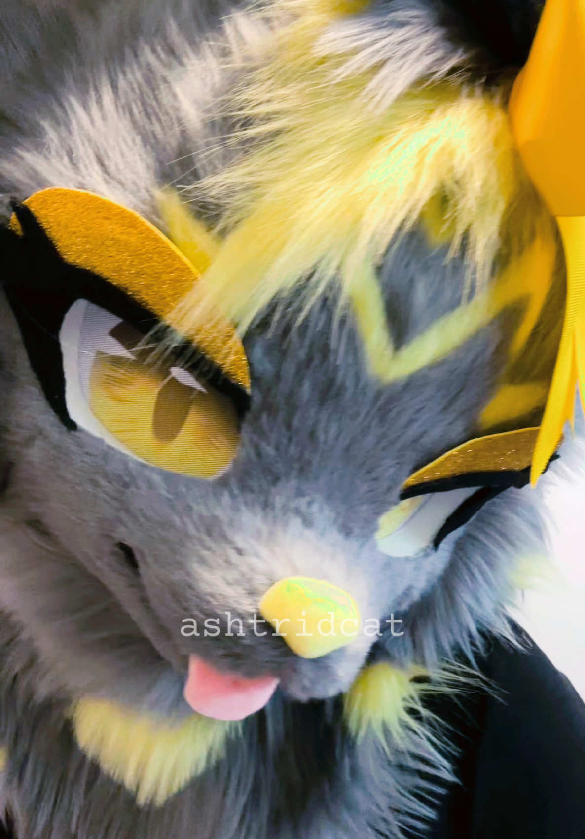 @AshtridCat