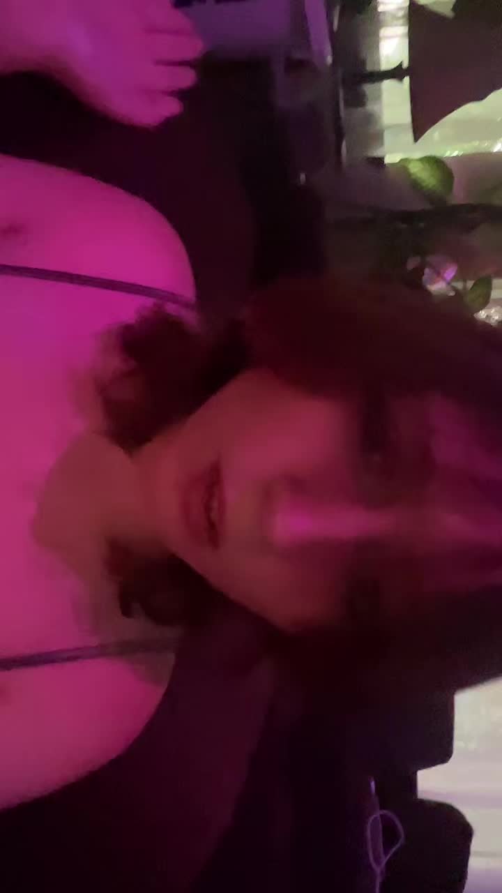 @°~Aphel~°