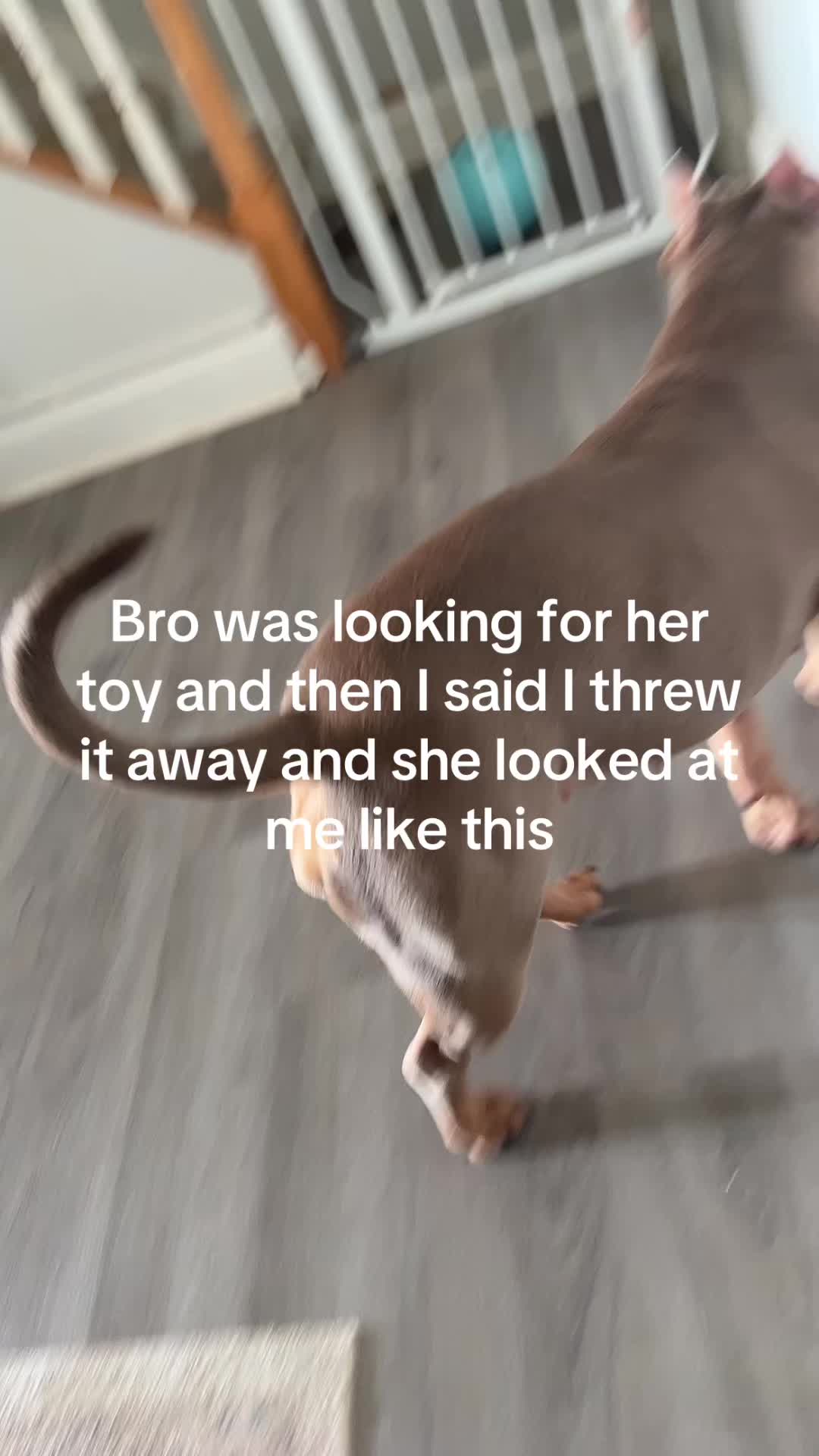 @Kj256