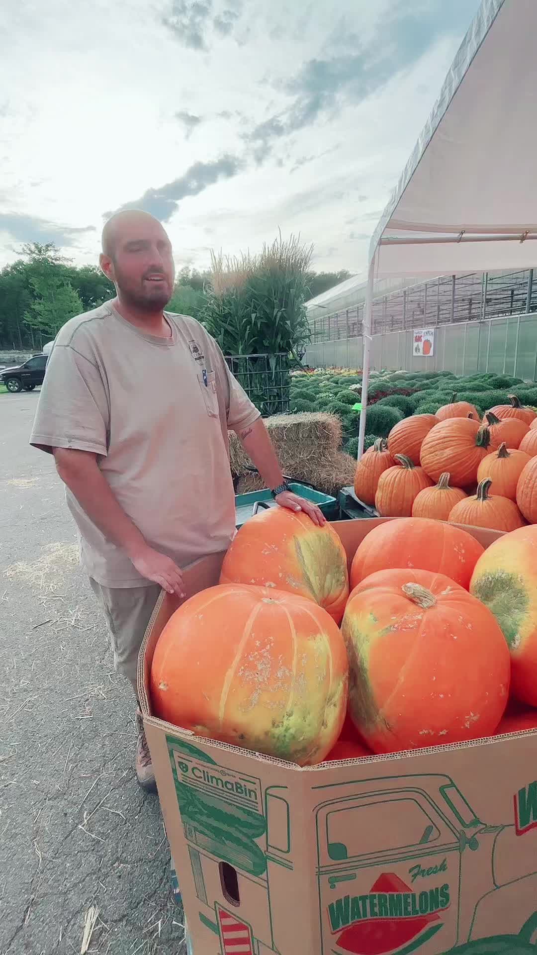 @JC Farm - Durham, CT