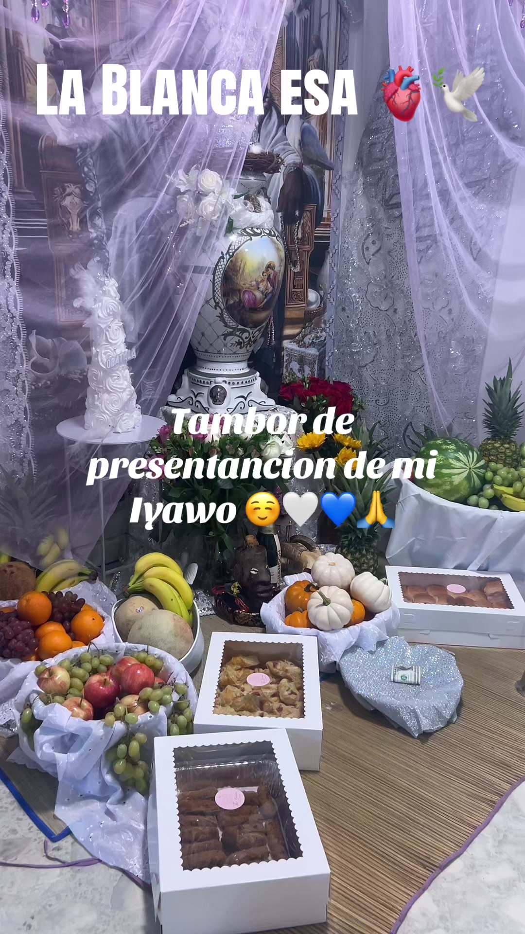 @Lacasadeeggun🤍🖤