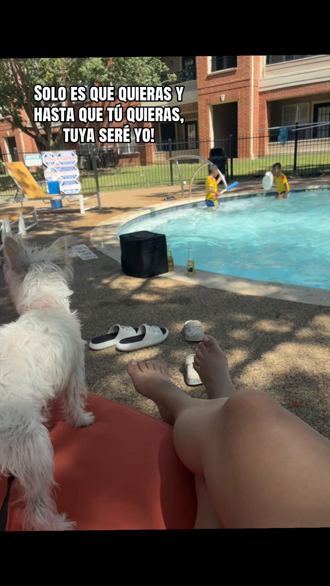 @Pao🧡✨