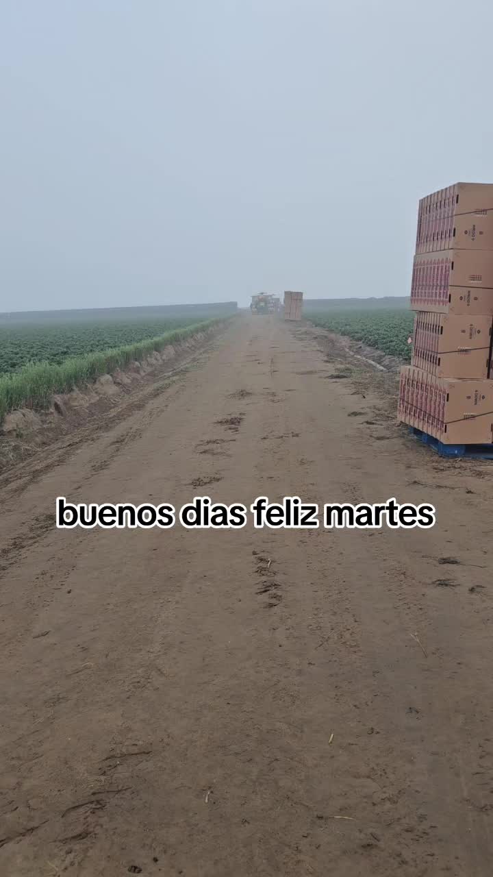 @🇲🇽🐦&zwj;⬛🪺VASQUEZ🚚🌪💎