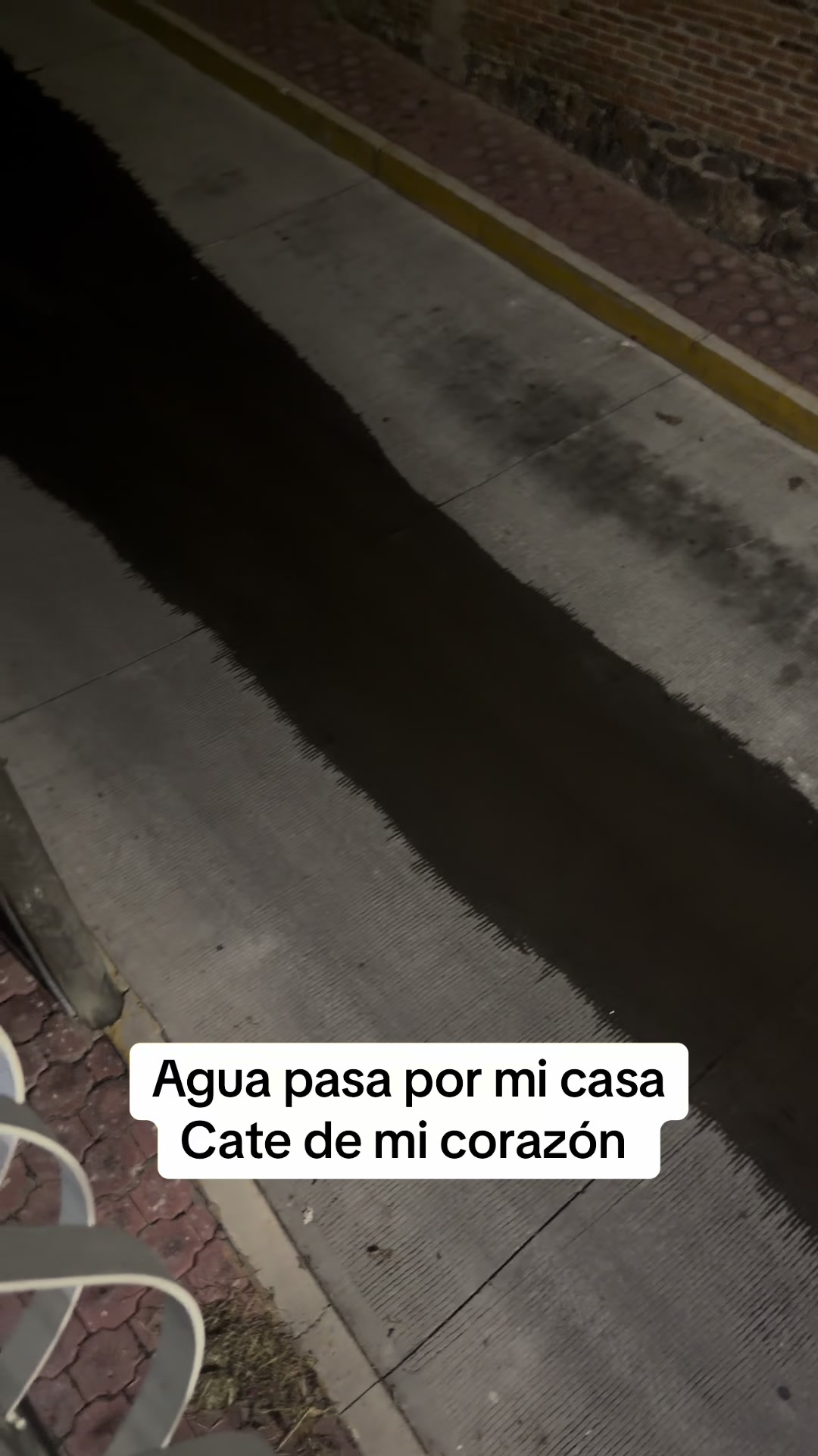 @Ado EL Ruso