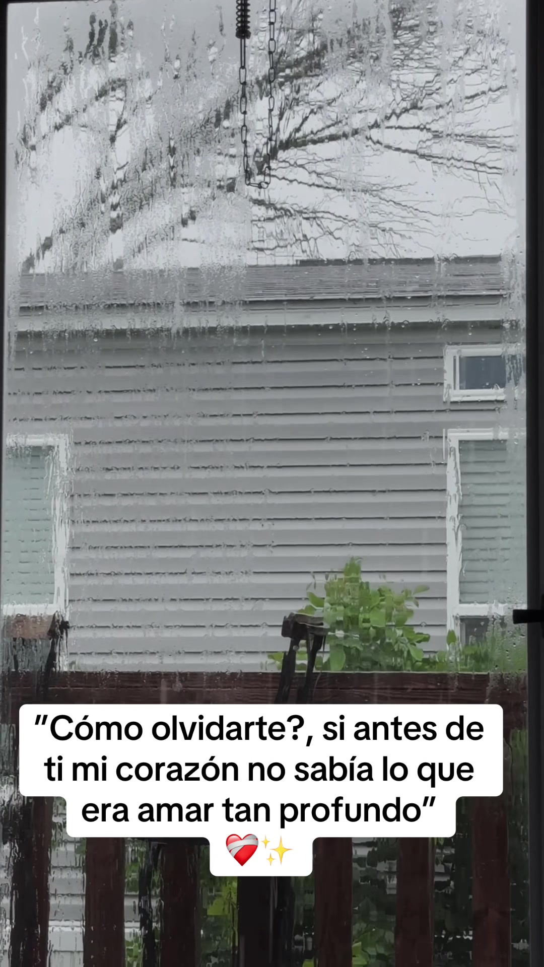 @Berenice Avalos