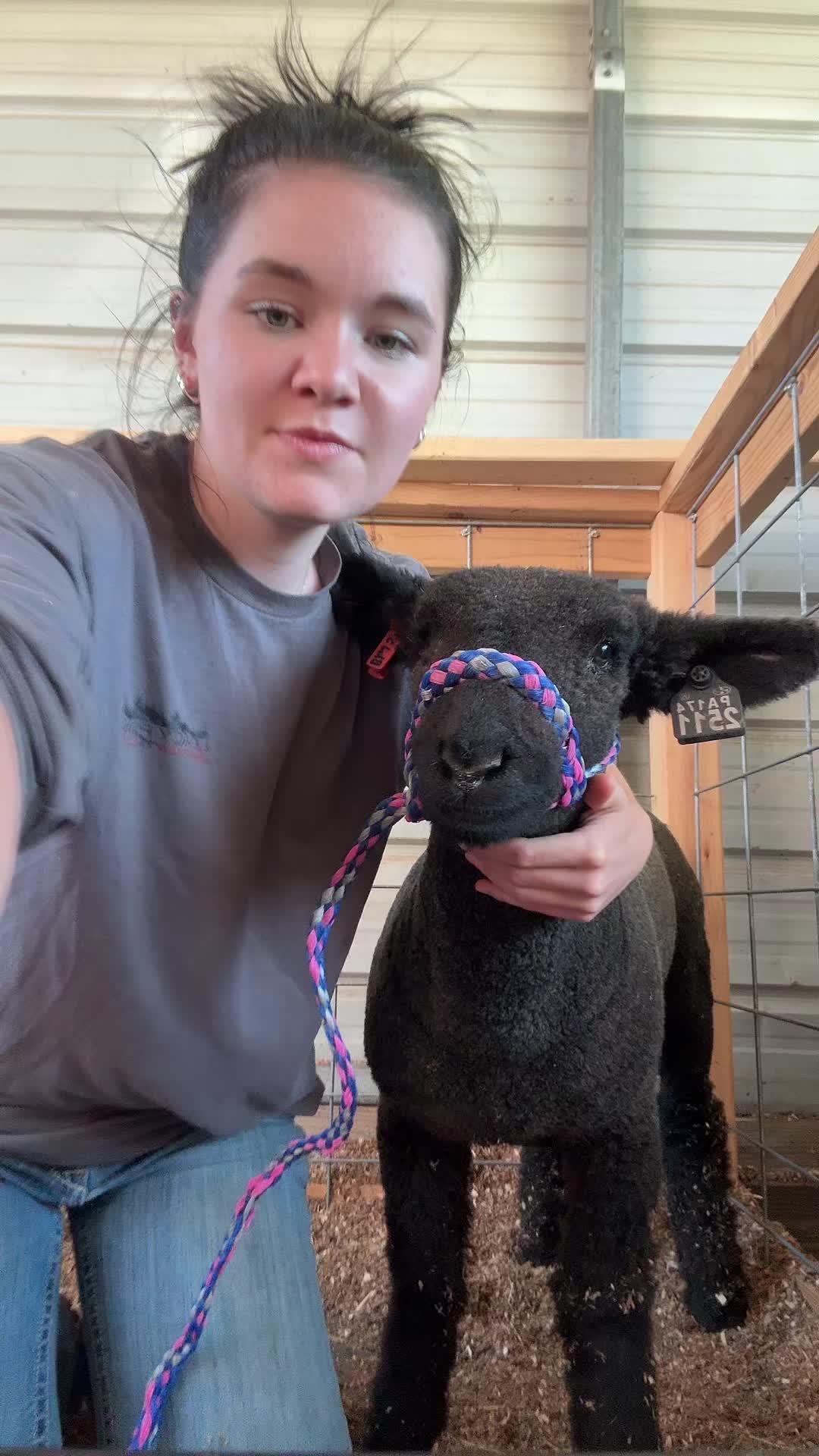 @t.m.livestock