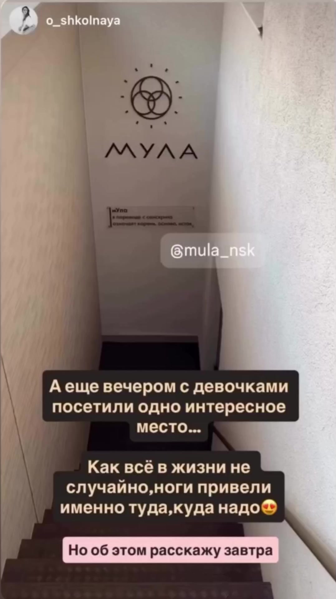 @MULA NSK