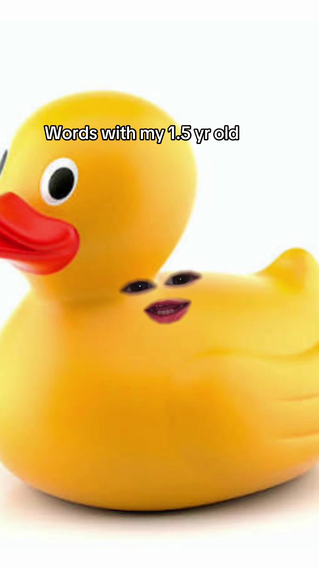 @Chloe 🦆