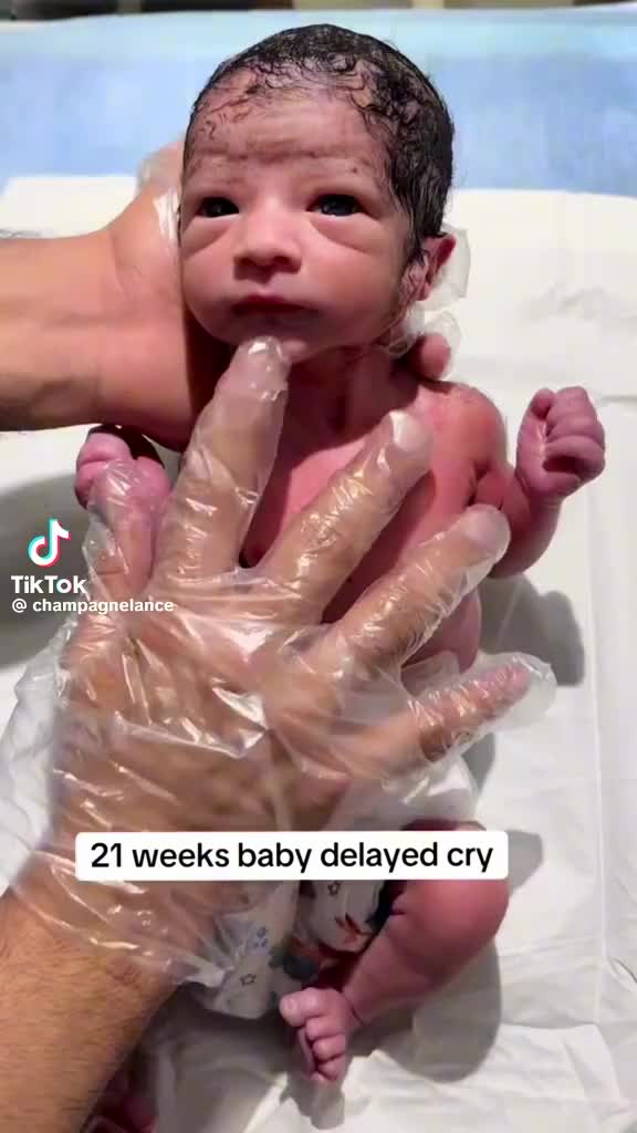 @toxicweb