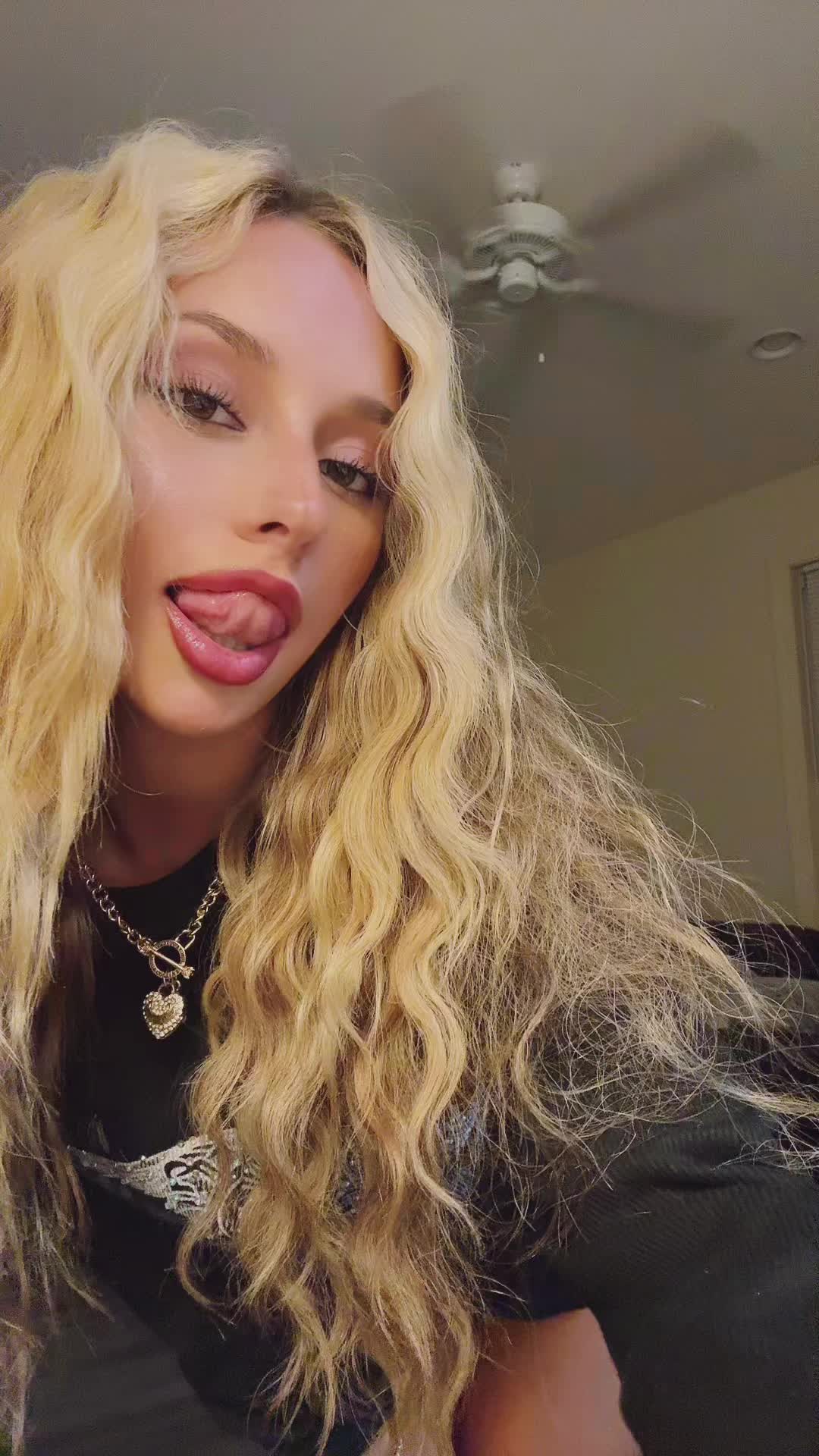 @≽^ ˕ • ྀི≼