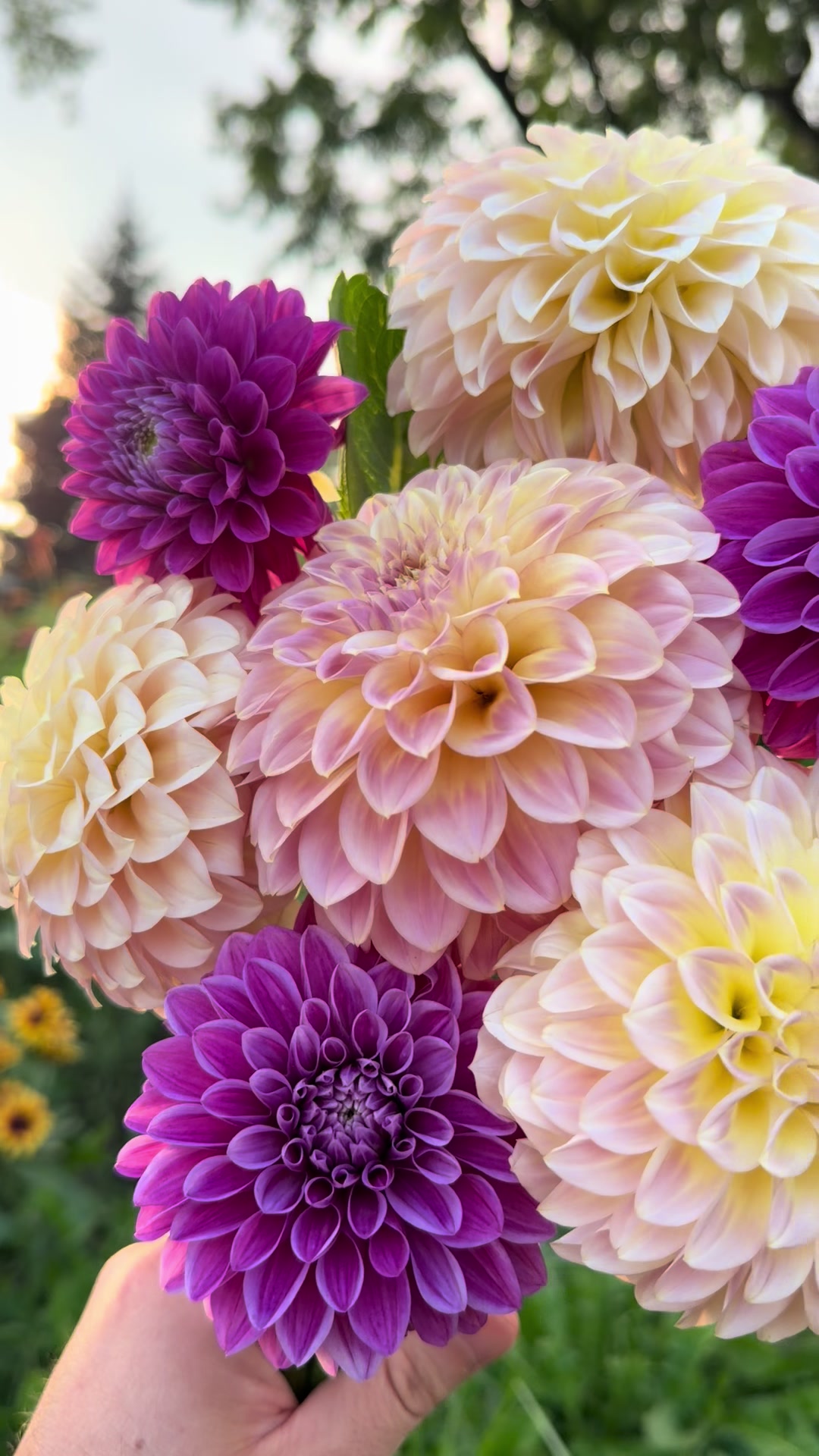 @Christopher | Flower Farmer