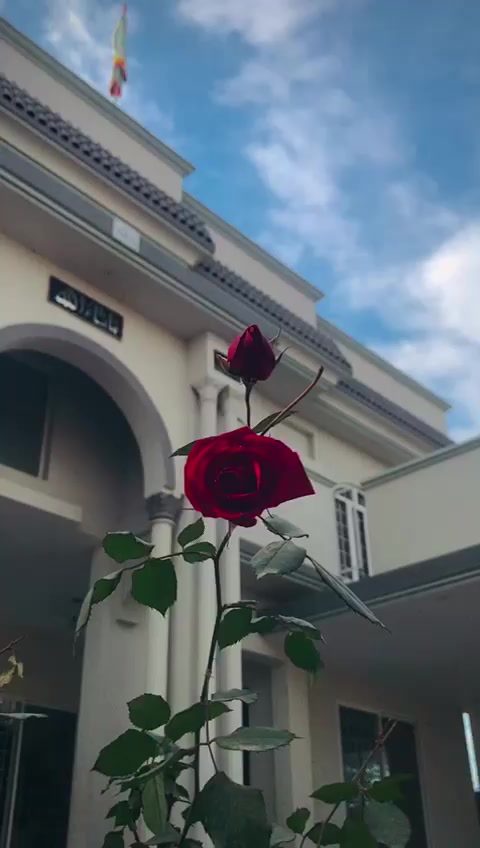 @Gumnaam🤷🏻&zwj;♂️