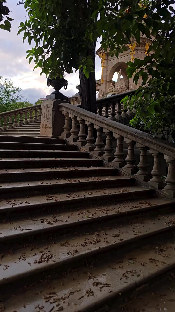 @𓆩🇧🇩𝐒𝐀𝐙𝐙🇪🇦𓆪
