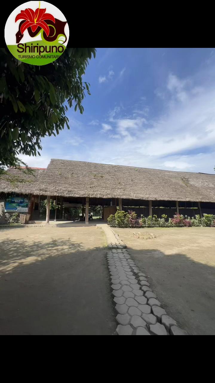 @CTC Shiripuno_official 🍃💧
