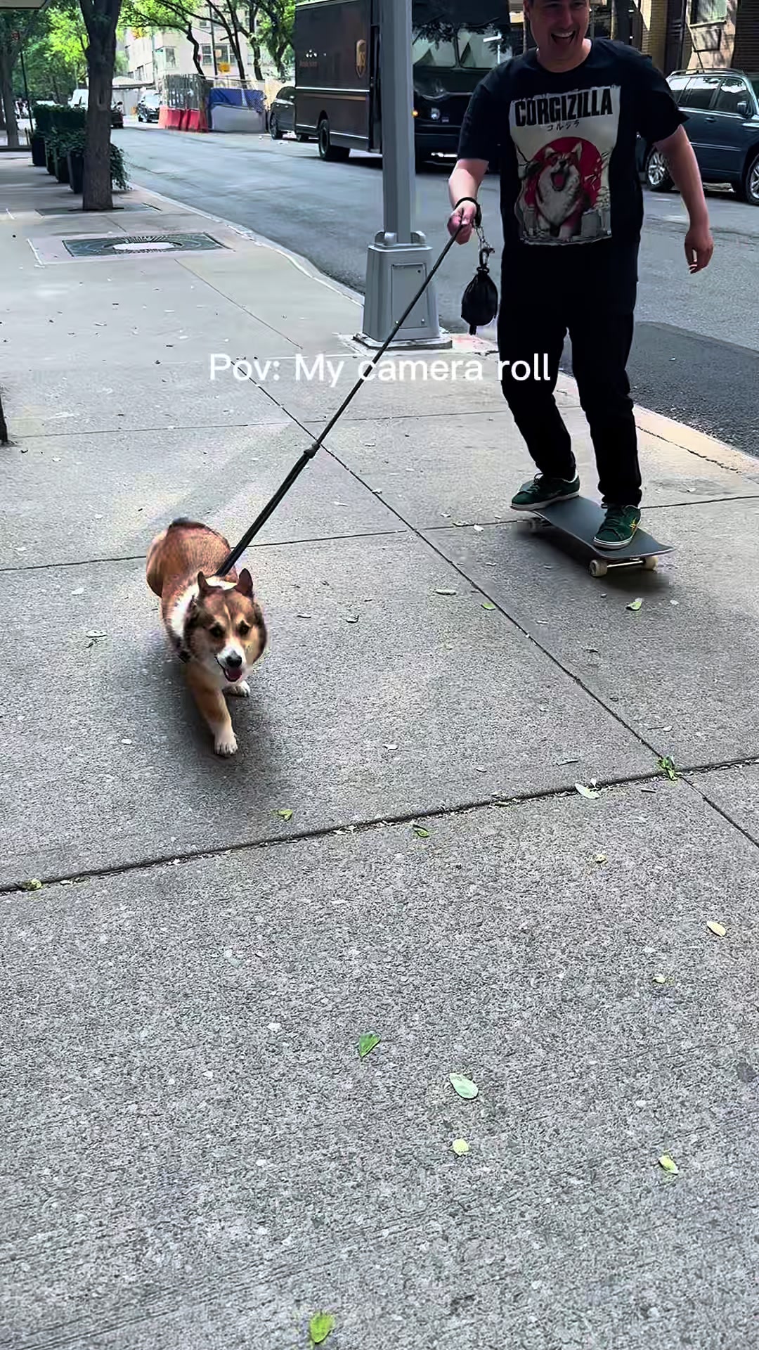 @Ollie The Corgi