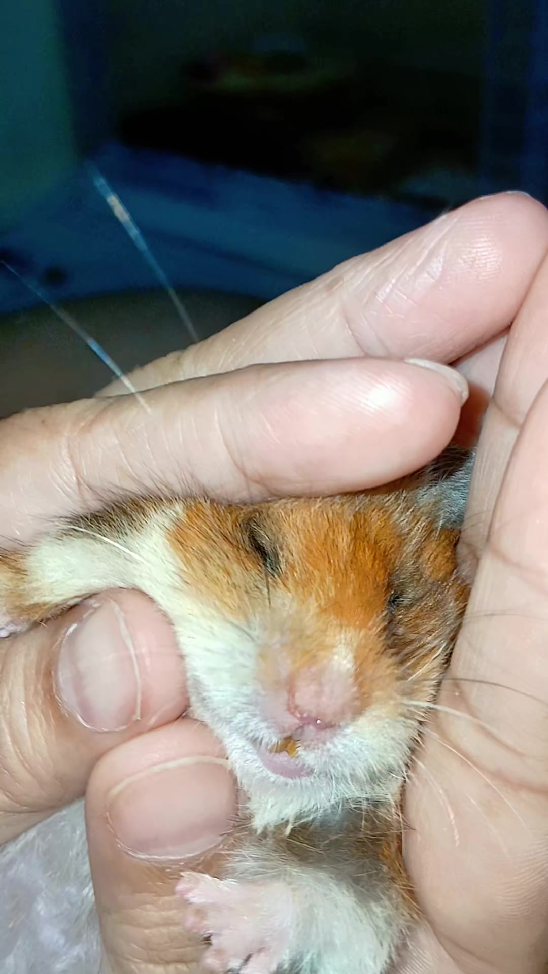 @Pikaaaduuttt