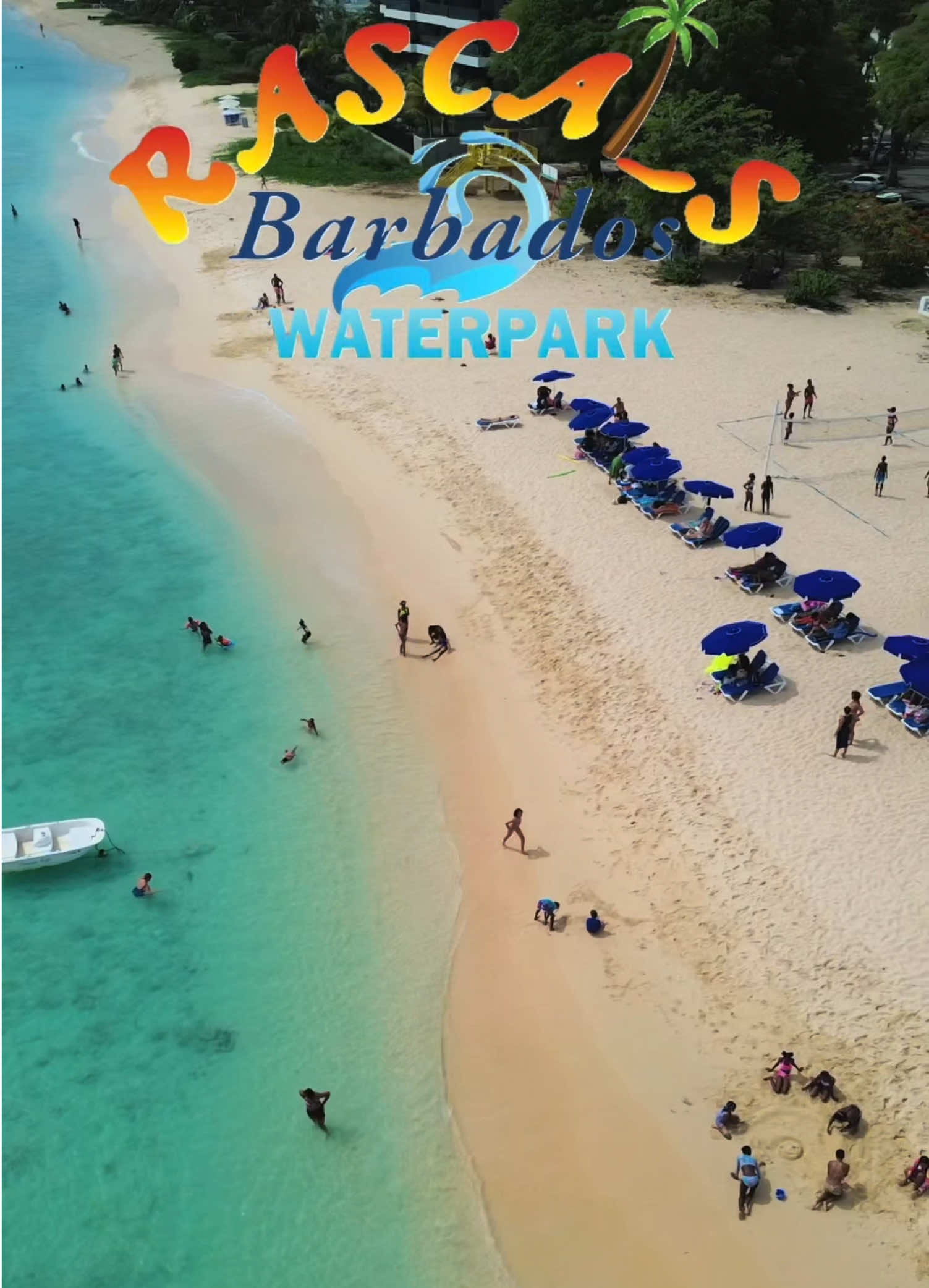 @Rascals Of Barbados