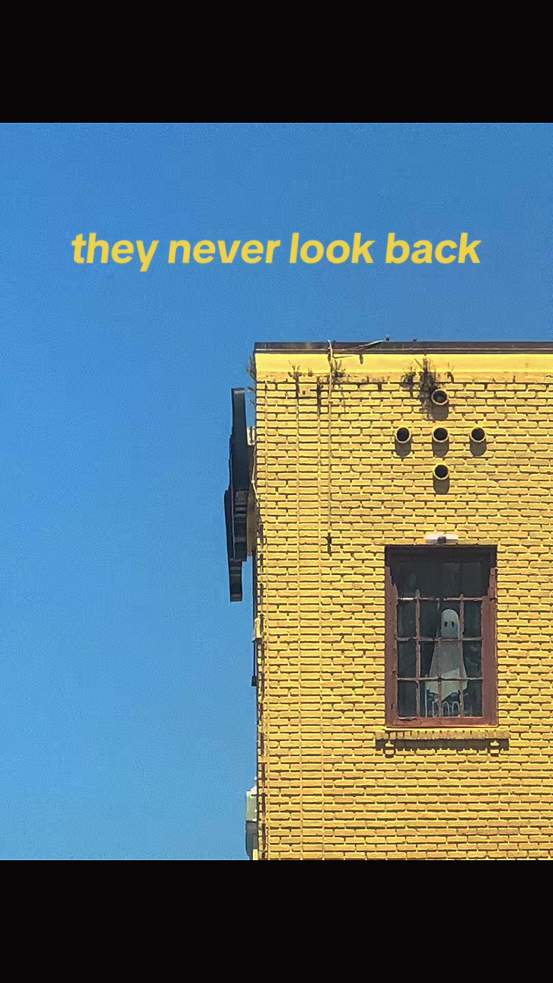 @og.green