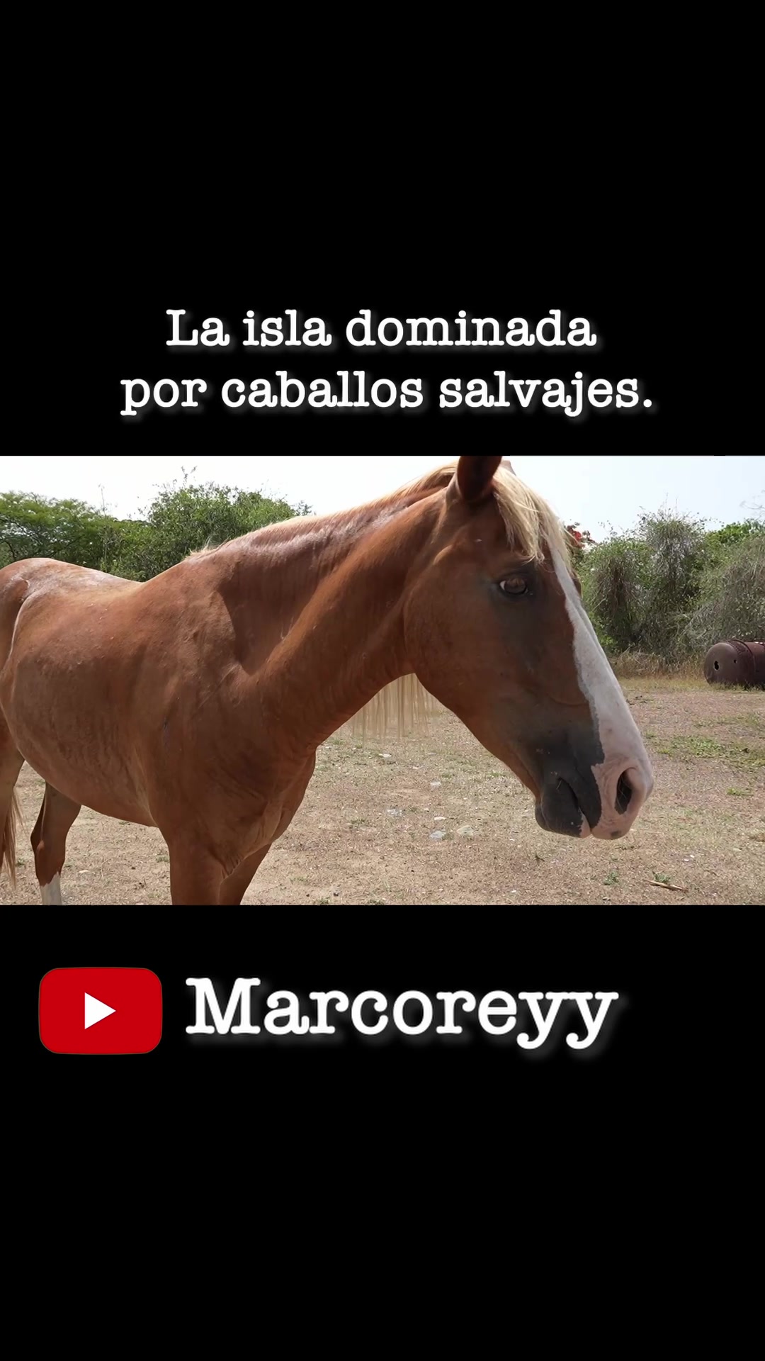 @marcoReyyy